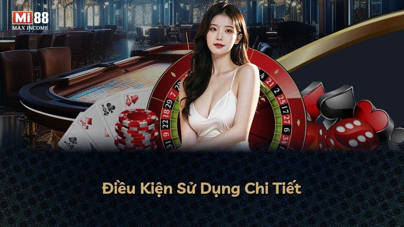Điều Kiện Sử Dụng Chi Tiết