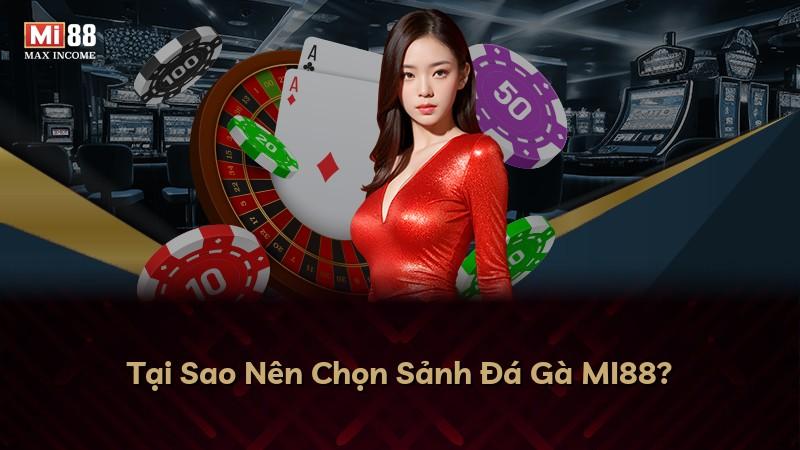 Tại Sao Nên Chọn Sảnh Đá Gà MI88?